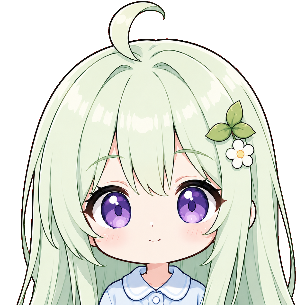 hconet icon